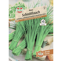 Sachet de graines de ciboulette Sperli pour culture vivace