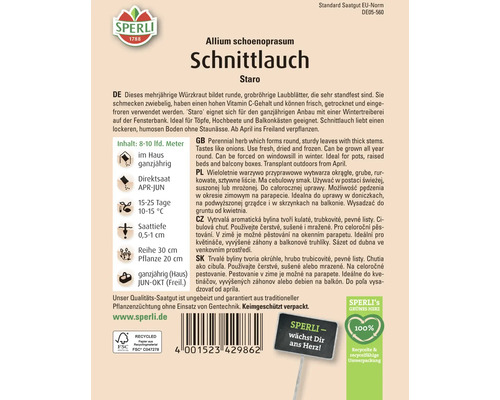 Paquet de graines de ciboulette Staro de la marque Sperli