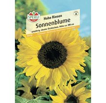 Paquet de graines Tournesol géant de Sperli