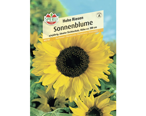 Paquet de graines Tournesol géant de Sperli