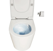 Weisse Toilette mit offenem Deckel und Toilettenpapierhalter