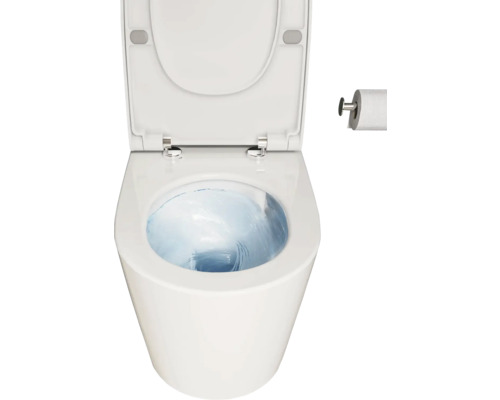 Weisse Toilette mit offenem Deckel und Toilettenpapierhalter