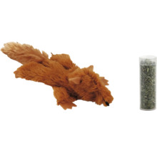 Katzenspielzeug Eichhörnchen mit Katzenminze