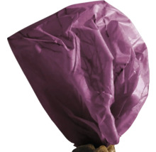 Lampion en papier