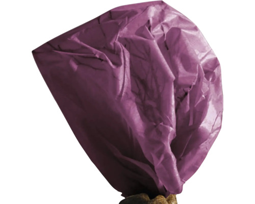 Lampion en papier
