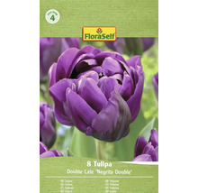 Paquet de 8 tulipes Double Late Negrita Double de FloraSelf
