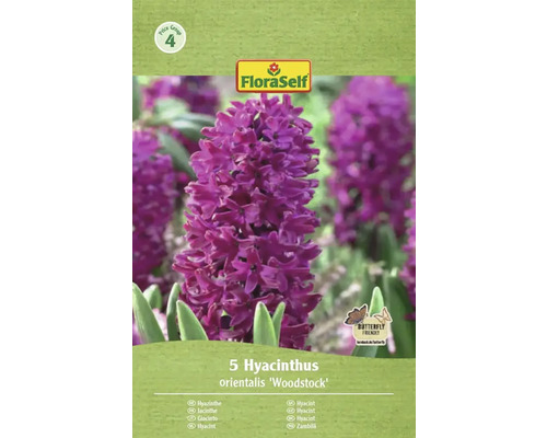 Paquet de 5 jacinthes de type 'Woodstock' de la marque FloraSelf