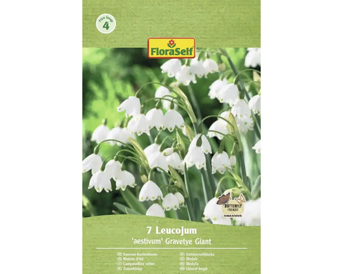 Bulbes de nivéoles d'été FloraSelf 'Gravity Giant' 7 pièces Emballage de sept nivéoles d'été de l'espèce 'aestivum' Gravetye Giant avec le label Butterfly Friendly et le logo FloraSelf