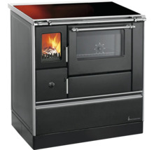 Holzherd mit Sichtfenster und Kochfeld