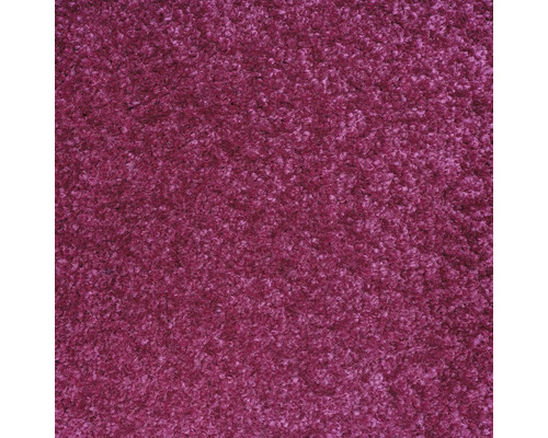 Gros plan d'un tapis