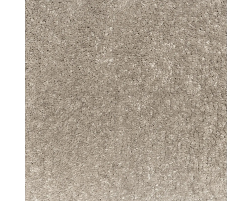 Gros plan de moquette