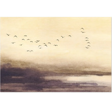 Illustration mit Vogelschwarm vor bewölktem Himmel