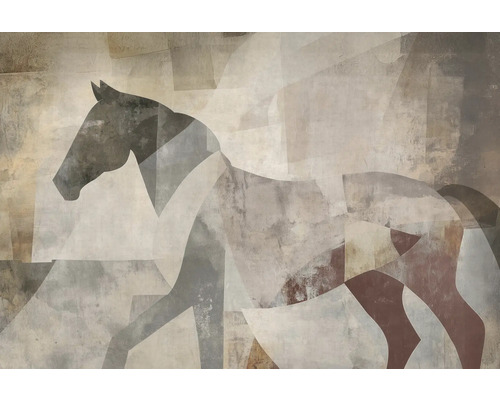 Fototapete Vlies 22090-07-01 GMK Art Edition 2 Caballo beige 8-tlg. 400 x 270 cm Abstraktes Pferde-Wandbild für die Inneneinrichtung