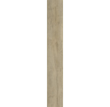 Structure en bois d'une lame de stratifié