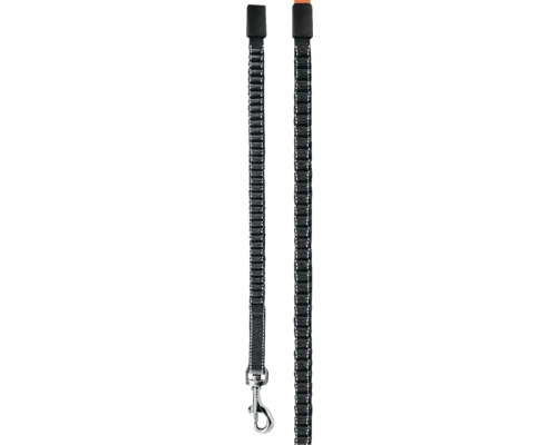 Hundeleine mit Karabinerhaken