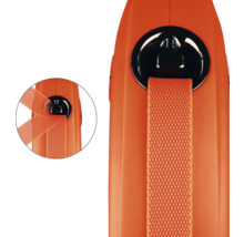 Vue détaillée d'une laisse pour chien