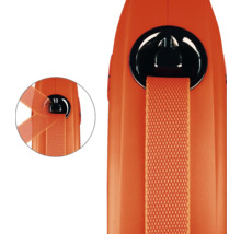 Vue détaillée d'une laisse pour chien avec sangle