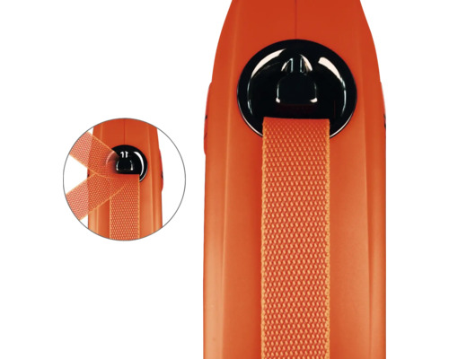 Vue détaillée d'une laisse pour chien avec sangle