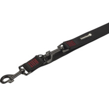 Laisse pour chien avec mousqueton