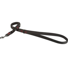 Laisse pour chien en nylon avec crochet