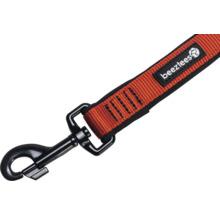 Laisse pour chien avec mousqueton