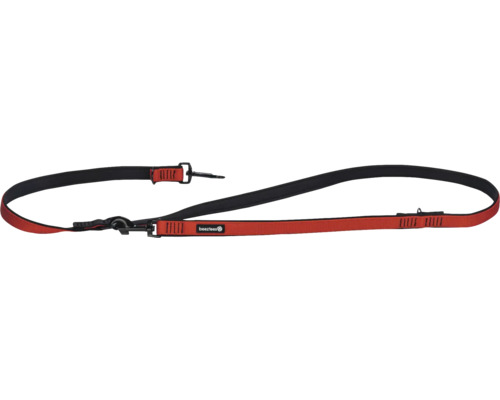 Laisse pour chien avec deux mousquetons