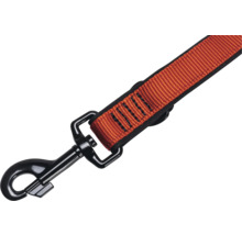 Laisse pour chien avec mousqueton