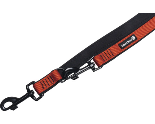 Laisse pour chien avec mousqueton et logo Beenztees