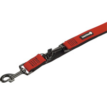 Laisse pour chien avec mousquetons