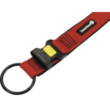 Hundegeschirr mit Ring und Schnalle