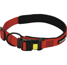 Hundehalsband mit Klickverschluss und D-Ring