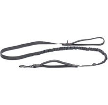 Laisse double pour chien grise avec amortisseur