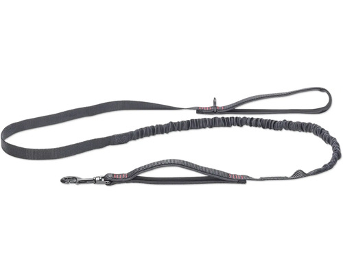 Laisse double pour chien grise avec amortisseur
