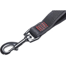 Laisse pour chien avec mousqueton