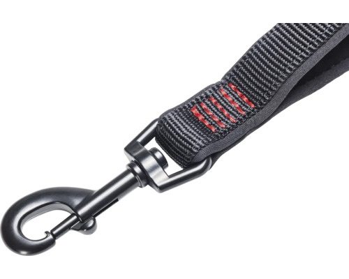 Laisse pour chien avec mousqueton