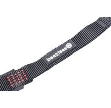 Logo Beeztees sur laisse pour chien