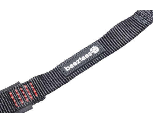 Logo Beeztees sur laisse pour chien