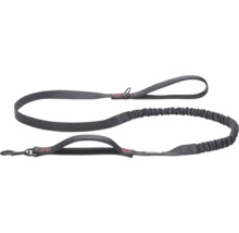 Laisse pour chien grise avec deux poignées et une partie élastique