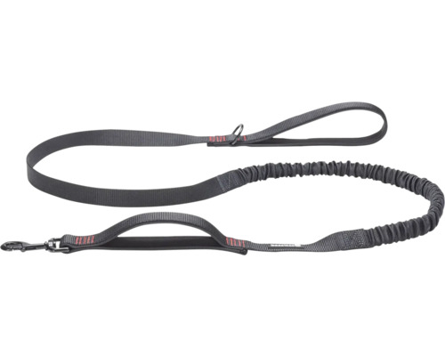 Laisse pour chien grise avec deux poignées et une partie élastique
