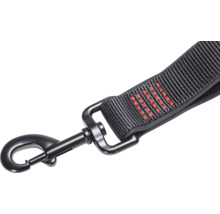 Laisse pour chien avec mousqueton