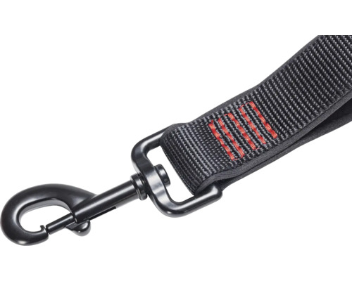 Laisse pour chien avec mousqueton