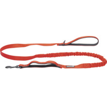 Laisse pour chien Beasterees orange avec section élastique