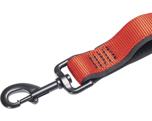 Laisse pour chien avec mousqueton