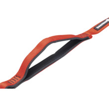 Logo Beeztees sur sangle de transport