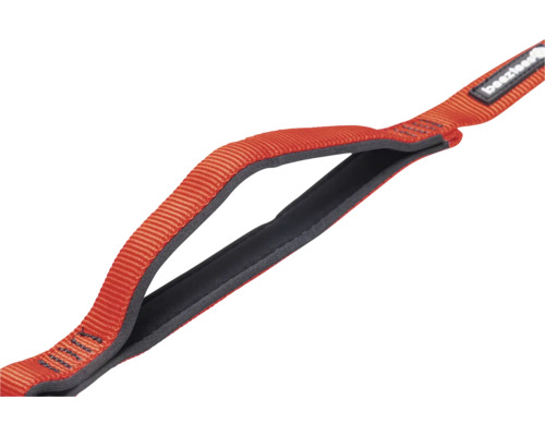 Logo Beeztees sur sangle de transport