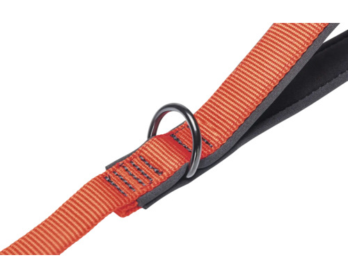 Laisse pour chien avec anneau