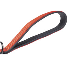 Boucle d'une laisse pour chien