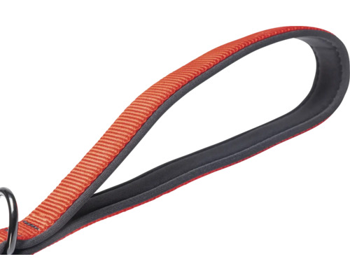 Boucle d'une laisse pour chien