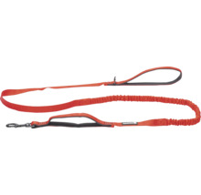 Laisse pour chien orange avec rallonge flexible