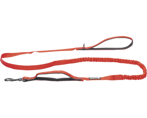 Laisse pour chien orange avec rallonge flexible